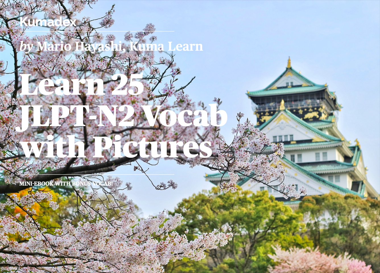 I carefully selected frequently occurring 25 JLPT-N2 words in this mini-eBook to start your visual learning journey.